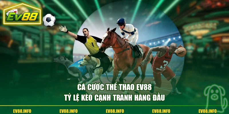 Cá Cược Thể Thao Trực Tuyến Trải Nghiệm An Toàn Cùng EV88 1 Cá cược thể thao EV88 tỷ lệ kèo cạnh tranh hàng đầu